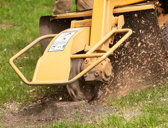 Stump Grinding