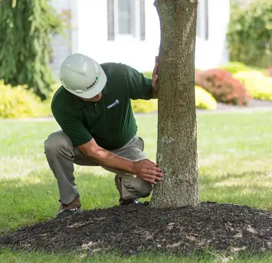Tree Health Check