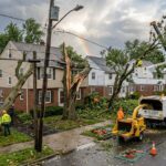 Emergency Tree Service