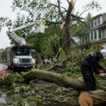 Emergency Tree Service Buffalo NY