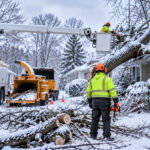 tree trimming Buffalo NY